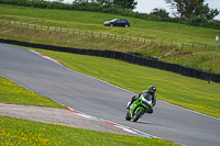 Middle Group Green Bikes